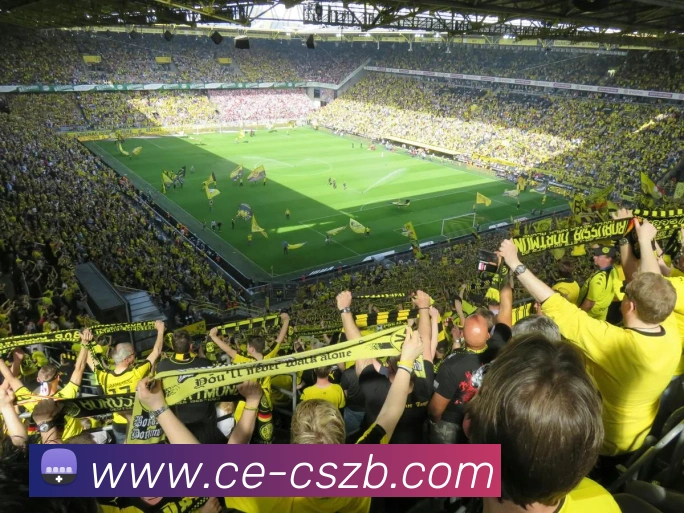 彩神争霸APP 高清赛事图